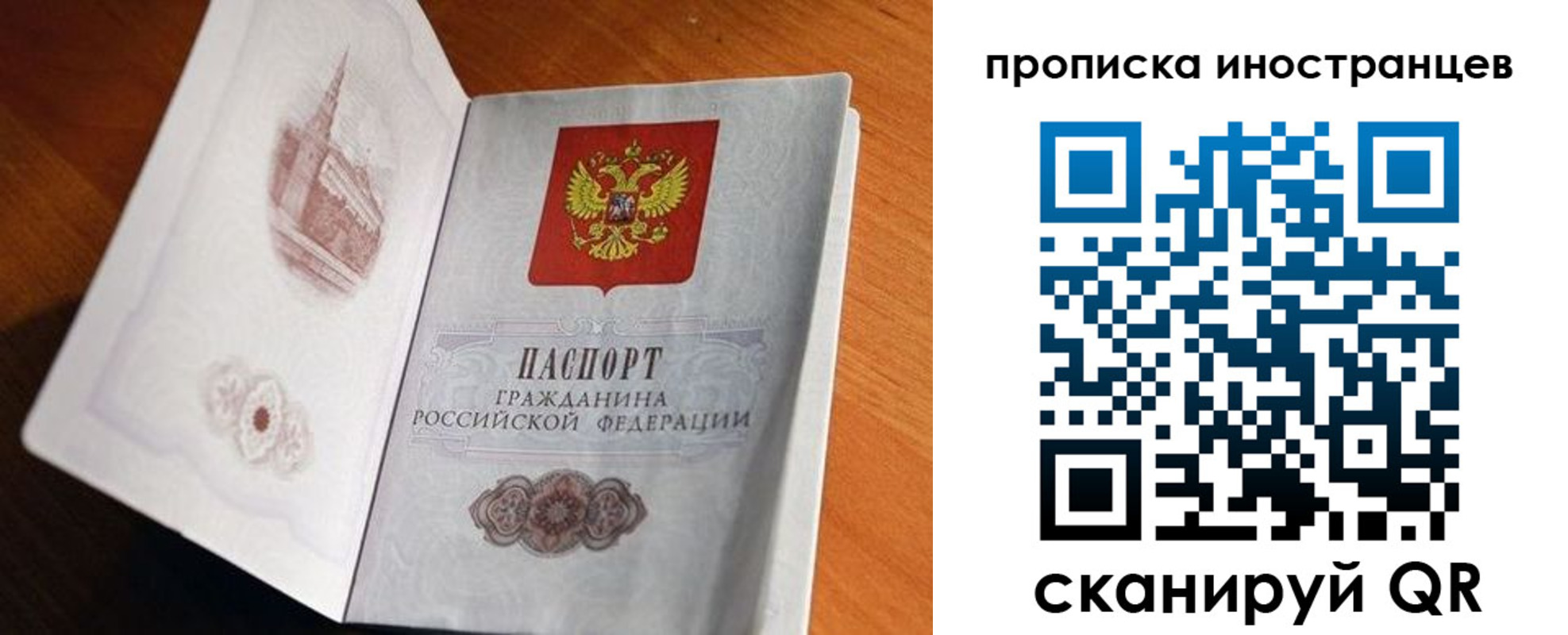 прописка 2025 в Скопине